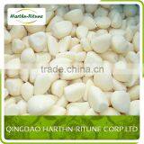 Hot Sale Frozen Normal White Garlic or Pure White Garlic thumbnail-1