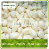 Factory Price Frozen fresh chopped 10kg/ctn pure white garlic new crop