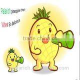 Natural and Healthy Chips Snacks thumbnail-5