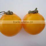 Yellow Heart Shape Cherry Tomato Seeds ZY-159