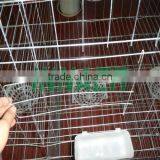 Qatar Poultry Farm Racing Pigeon Cage thumbnail-2