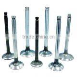 Diesel Engine Valve Auto Spare Parts