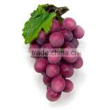 Red Grape Fruit Fridge Magnets Refrigerator Magnet Magnetic thumbnail-1