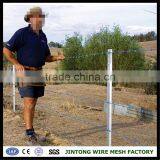 Electrical Galvanized Barbed Iron Wire Farming Barbed Wire Electrical Barbed Wire thumbnail-6