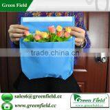 Vertical Garden Planter Bags Living Indoor Wall Planter thumbnail-1