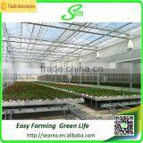 Commercial Greenhouse for Agriculture Flower Grow thumbnail-3