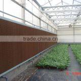 Modern Ventilation System Greenhouse With PC Sheet Covering thumbnail-4