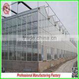 China Cheapest Hot-dip Galvanized Steel Structure Greenhouses With Hydroponic Grow Systems thumbnail-5