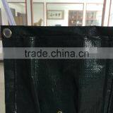 PE Grow Bags thumbnail-4