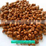 Dry Cat Food Kitten Chicken & Whole Brown Rice Formula thumbnail-1