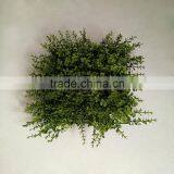 Lifelike Outdoor and Indoor Decoration Artificial Grass Hedge thumbnail-4