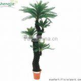 SJ300915 Decorative Cycas Revoluta Tree/artificial Cycas Revoluta Bonsai Plant thumbnail-3
