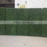 Artificial Outdoor and Indoor Boxwood Hedge for Decoration thumbnail-2