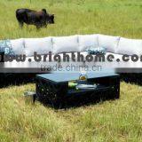 Stylish High Quality Rattan Garden Furniture (BP-852) thumbnail-5