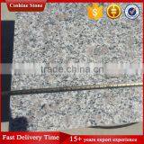 Factory Direct Selling Grey Granite G383 Natural Stone Slab thumbnail-1