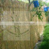 Reed Curtain thumbnail-1