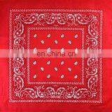 Bandana Dog Collar India Cheap thumbnail-3