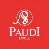 PaudiModel Technology Company Ltd