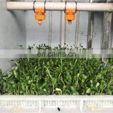 TAIZY High Quality Electric Automatic Bean Sprout Machine,Bean Sprout Growing Machine,Mung Bean Sprout Machine Price thumbnail-5