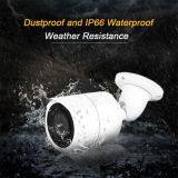 Ahd DVR 4CH 5.0MP IR Night Vision Outdoor CCTV Camera Home Security CCTV System Surveillance DVR Kit thumbnail-2