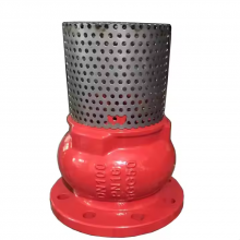 JIS/ANSI/DIN Foot Valve PN16 Cast Iron GGG50 Ductile Iron Flange Stainless Steel Filter Strainer Water Pump thumbnail-1