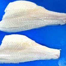 Sea Bass Fillet thumbnail-2