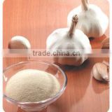 Dried Style Pure White Garlic Powder