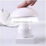 Fashion Design Bedside Music Led Night Light