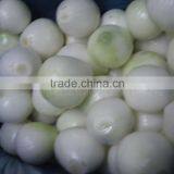 Yellow Onion Big Size thumbnail-2