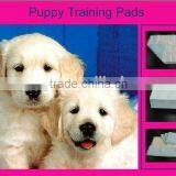 Pet Pee Pads Dog Urine Absorbent Pad Puppy Pet Pee Pad Pet Training Pad Non-woven Material thumbnail-2