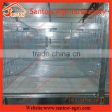 Poultry Farm Equipment / Broiler Cage Poultry Equipment
