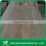 Natural Gurjan Veneer for India Market 0.3mm & 0.5mm thumbnail-1