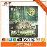 Education Science Dig 3d Dinosaur Skeleton Excavation Kit Toy for Kids
