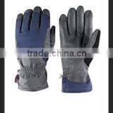 Ski Gloves