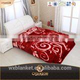 Heavy Fleece Blanket,factory Sale Blanket,100% Polyester Raschel Blanket