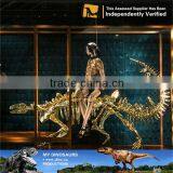 MY Dino-C023 Hot Sale Golden Dinosaur Skeleton