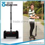 Fashion Big Wheel Electric Chariot With the Handrail