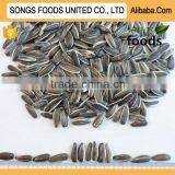 Export Sunflower Seeds thumbnail-1