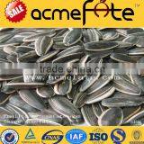 Wholesale Delicious Sunflower Seeds