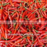 Dehydrated Red Pepper thumbnail-1