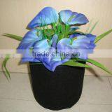 Felt Planter thumbnail-1