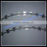 450mm/730mm/980mm Razor Wire/Galvanized Razor Barbed Wire price