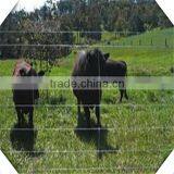 1.8m High Heavy Galvanized Sheep Fence / Galvanized Cattle Fence for Sale thumbnail-5