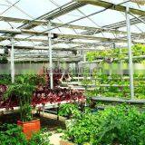 Made in China High Strength Fiberglass Garden Greenhouse,farm Hothouses,glasshouse Big Shed