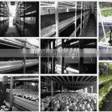 Greenhouse Aluminum Alloy Planting Bed, Watproof Aluminum Alloy Planting Bed thumbnail-3