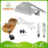 Garden Greenhouse 1000W Hydroponic Indoor Grow Tent Kit thumbnail-1