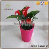 Paper Mesh Outdoor Flower Pots and Decorative Plant Pot Covers thumbnail-4