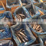 Good Quality Pacific Mackerel 200-300g Manufacturer thumbnail-1