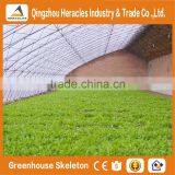 Heracles Low Cost Mini Plastic Sunlight Greenhouse thumbnail-2