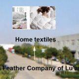 The Sea Feather Limited Company Of Luan company overview - view 1 thumbnail
